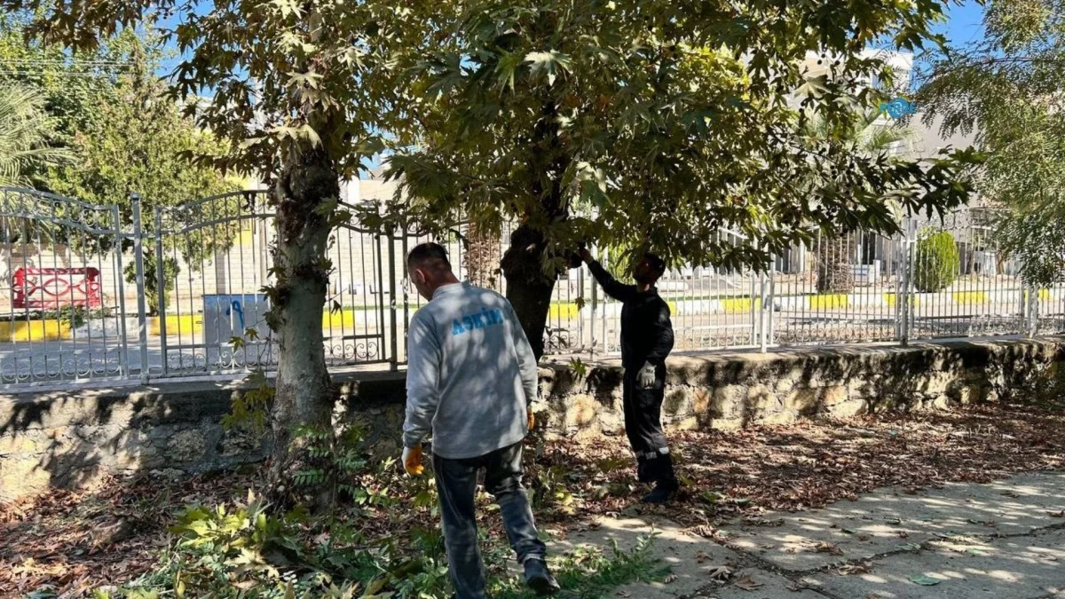 Adıyaman’da Eski Mezarlık’ta bakım ve temizlik çalışması başlatıldı
